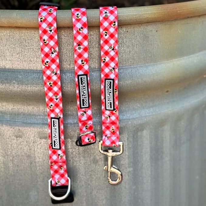 Lucky Love Dog - Easy Click Buckle Dog Collar with Leash Set Combo, Durable & Comfortable for Male & Female Dogs, Pet Collar for Medium Dogs, Secure Fit - Bailey Combo, Medium
