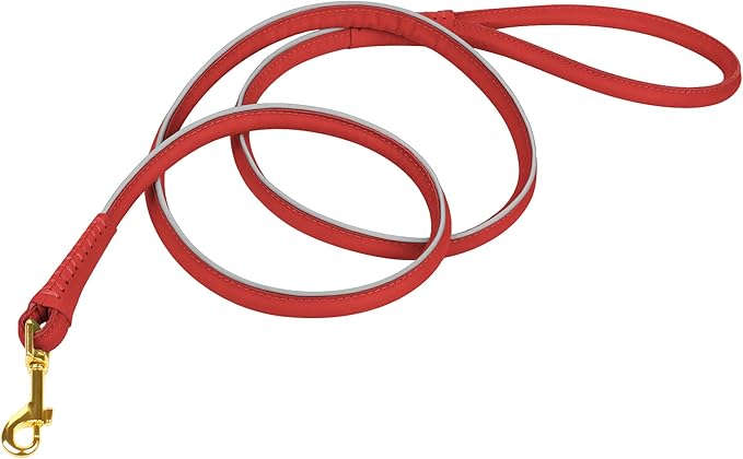 OOPSDOGGY Reflective Rolled Leather Dog Leash 6ft - Soft Training Lead for Small Medium Large Dogs Puppy - Heavy Duty Rope Puppies Leash for Outdoor Walking Running (Red, Small)