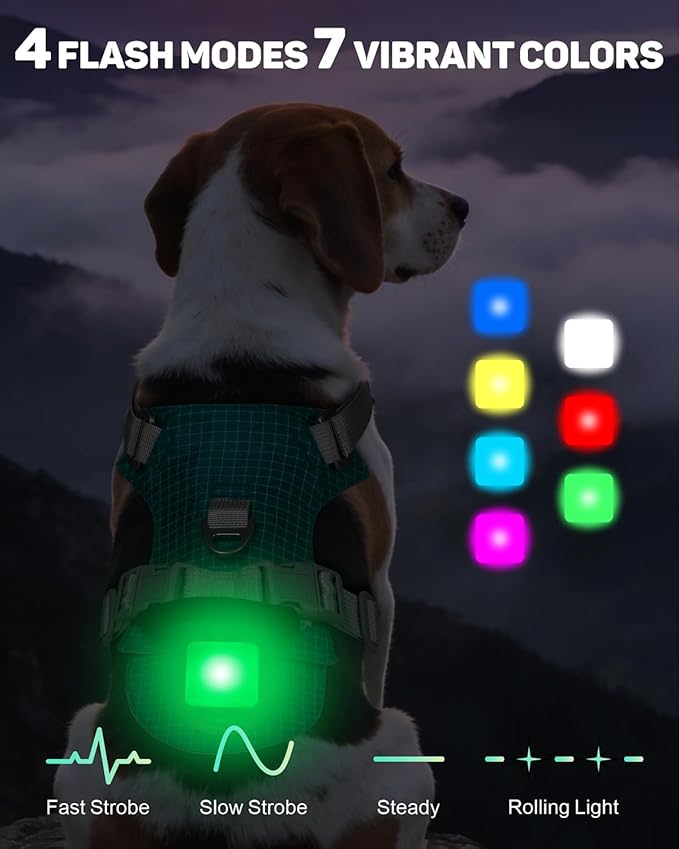 TagME No Pull Dog Harness with 2 Leash Clips,Lightweight & Visible for All-Day Walking,No Choke Pet Vest Includes AirTag Holder for Medium Dogs,Teal