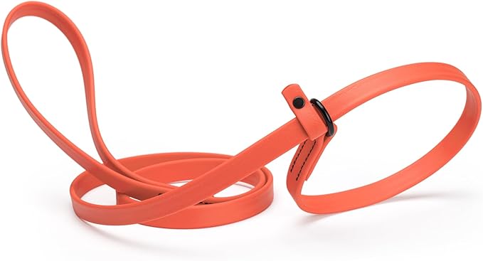 Dogline Biothane Slip Dog Leash - for Small, Medium and Large Dogs - Odor Free Slip Lead, Heavy Duty and Durable Material Kennel Lead - Coral - 5ft L x 5/8in W