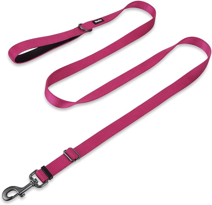 Hyhug Nylon Adjustable 4-6ft Dog Leash with Soft Neoprene Padded Handle, Durable Heavy Duty Leash with Easy-to-Use Bolt Snap, Ideal for Jogging Outdoor