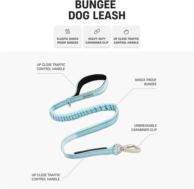 DF Co. Bungee Dog Leash | Strain Free & Shock Resistant for Control | Neoprene Padded Handle, Heavy-Duty Carabiner Clip, and D-Ring | Red, Size Regular