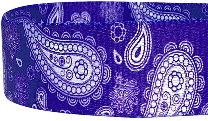 Blueberry Pet 5 Colors Paisley Flower Print Dog Leash with Soft & Comfortable Handle, 4 ft x 1", Violet, Large, Leashes for Dogs