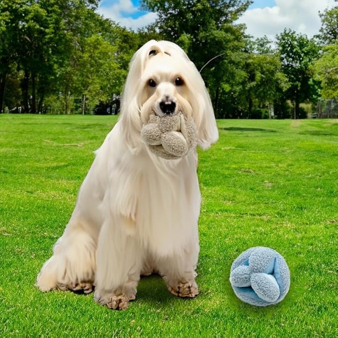 Lambwolf Monti- Enrichment and Interactive Dog Toy | Puzzle Dog Toy