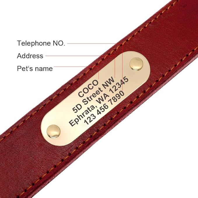 Didog Genuine Leather Dog Collars with Engraved Nameplate, Personalized Soft Leather Dog Collar with Custom ID Tag, Brown/Green/Red for Medium Large Dogs (XL,Red)