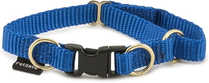 PetSafe KeepSafe Collar for Dogs - Protects Against Collar Accidents - Long Lasting - Durable - Adjustable - Breakaway - Outdoor-Safe - Small - 3/4 in. Wide - Blue