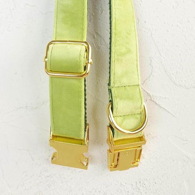 PETDURO Custom Dog Collar Personalized with Name Engraved Quick Release Rose Gold Metal Buckle for Large Medium Small Girl Dogs - Dog Leash and Bow Tie Available - Soft Comfy Velvet (Mint Green, XS)