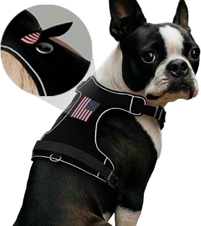 PawPatch Track Dog Harness, Medium – No Pull Adjustable Fit Pet Vest, Breathable Soft Padded with 2 Leash Clips, Reflective, Easy On/Off Design with Control Handle for Walking, Training, Hiking
