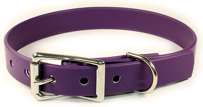 Waterproof Dog Collar (Medium: 14"-18", Purple)