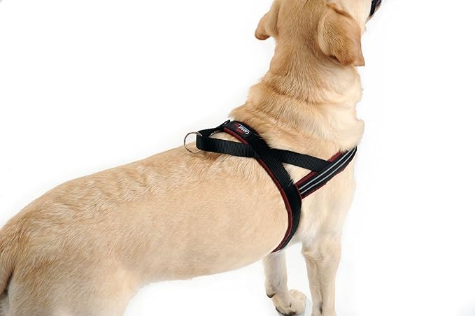 ComfortFlex Sport Dog Harness – No-Choke, Fully Padded, Non-Chafing Harness with Control Handle – Reflective, Lightweight, Adjustable for Active Dogs - XXSmall, Kelly Green