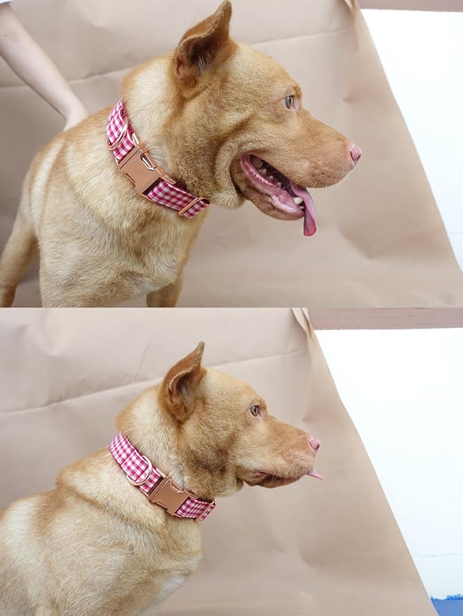 PETDURO Personalized Gingham Plaid Dog Collar Red - Engraved Name and Phone Number on Rose Gold Metal Buckle - Custom for Small Medium Large Boy Girl Dogs - Add Leash Bow Tie via Customize Now