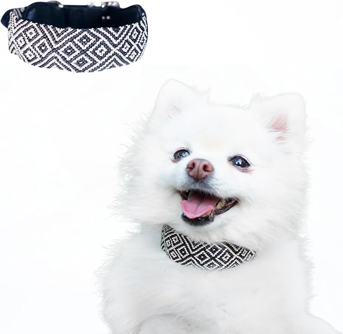 Eternia Premium Leather Dog Collar - Adjustable Handcrafted Collar for Small to Large Dogs (Black/White, S)
