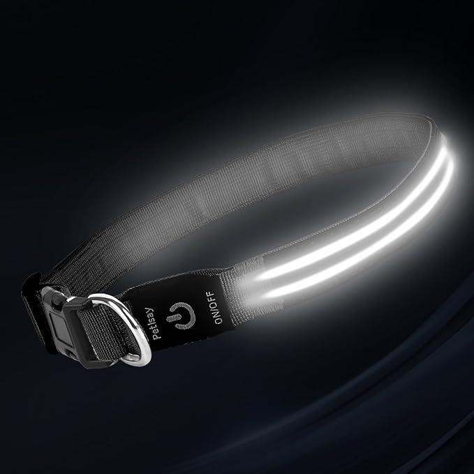 PetIsay Dog Light up Collar for Night Walking - High Visibility LED Dog Collar - Rechargeable - Waterproof - Reflective - Adjustable Lighted Glow Collars(White,XLarge)