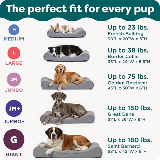 FurHaven Orthopedic Dog Bed for Large Dogs, Luxe Lounger Contour Mattress with Solid Orthopedic Foam Slab for Joint Support, Removable Washable Cover, Jumbo XL, Plush Suede, Chocolate
