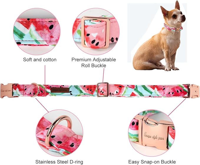 Unique Style Paws Dog Collar Metal Buckle Watermelon Cute Collar for Small Medium Large Dogs
