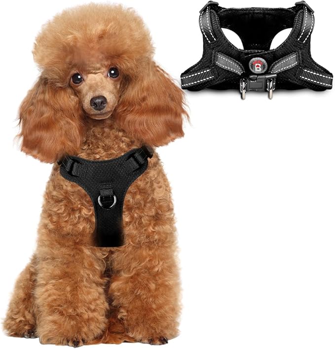 Dog Harness Step in Dog Vest Harness, Reflective Adjustable Puppy No Pull Harness Breathable Soft for Small and Medium Dogs Cats, Black, XS