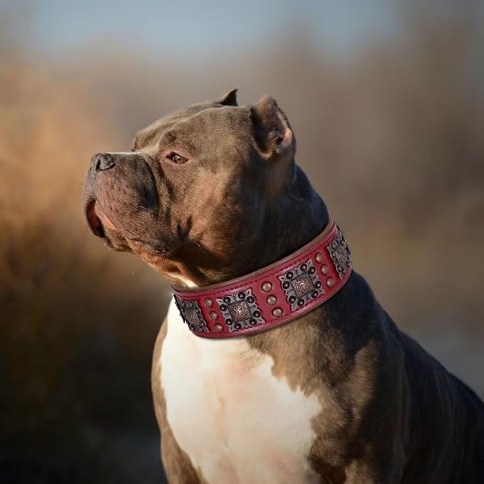 PET ARTIST Genuine Leather Dog Collar for Large Dogs, 2 inch Wide Dog Collar Leather with Rivet Studded & Metal Buckle, Soft Padded & Hand Made for Great Dane Rottweiler,Red,Neck 22-25"