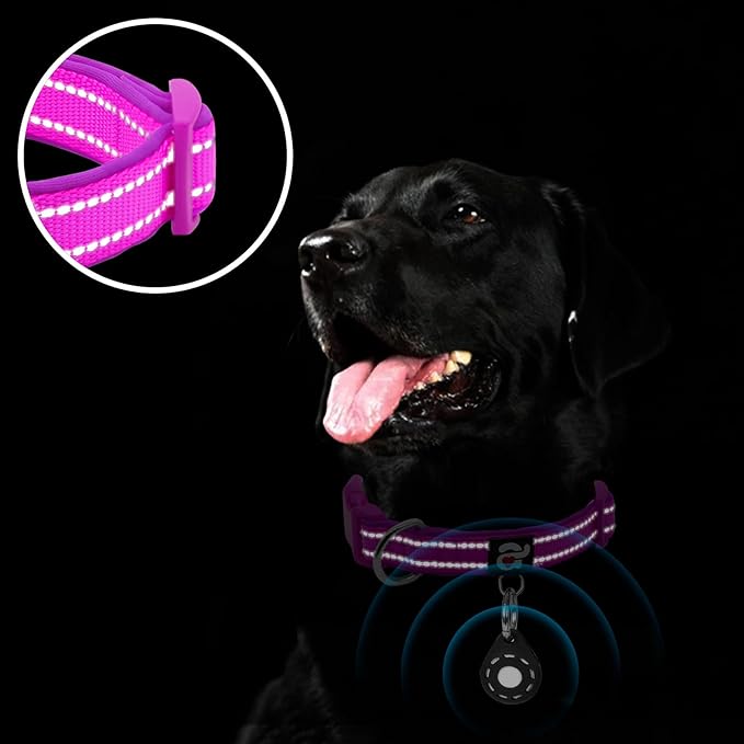azuza Reflective Dog Collar with Airtag Holder, Soft Neoprene Padded Pet Collar with ID Tag Ring, Adjustable for Medium Dogs,Purple,M