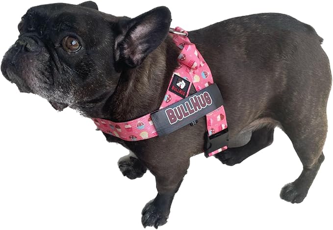 BULLHUG Adjustable Dog Harness– No Pull, No Choke – for English Bulldogs, French Bulldogs, Pugs & Broad-Chested Breeds – Easy, Safe Walks (Cups, XL)