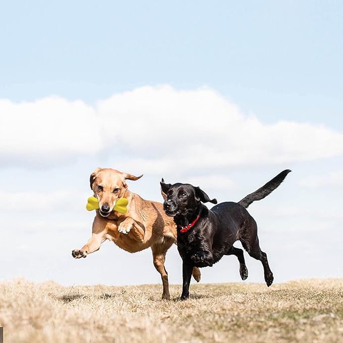 Dog Toys for Aggressive Chewers Dog SuperChewy Tough Dog Bone Toy for Large Medium Dogs Breed Strong Natural Rubber