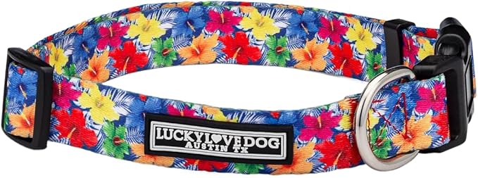 Lucky Love Dog - Adjustable Dog Collar with Easy Click Buckle for Small Dogs, Durable, & Comfortable for Male & Female Dogs, Pet Collar for Puppies & Adult Dogs - Hana, Small