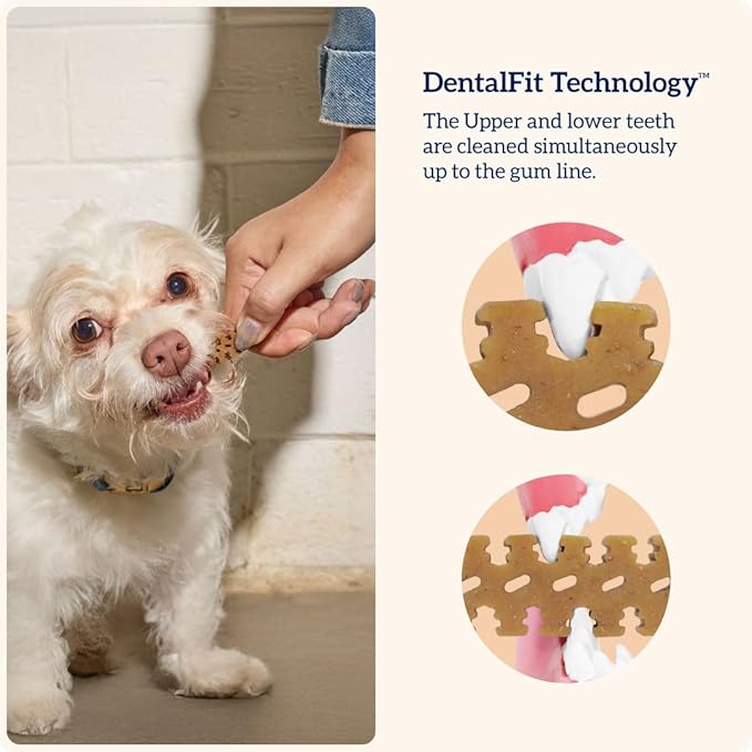 Groovies Flexible, Yet Moderately Tough Daily Dog Dental Chews. Powered by USA-Patented DentalFit Technology. No Added Gluten, No Artificial Flavors or Colors. Original 12oz Medium (20Chews)