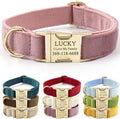 PETDURO Custom Dog Collar Personalized with Name Engraved Gold Metal Buckle for Large Medium Small Girl Dogs - Dog Leash and Bow Tie Available - Soft Comfy Velvet (Champagne Pink, XL)