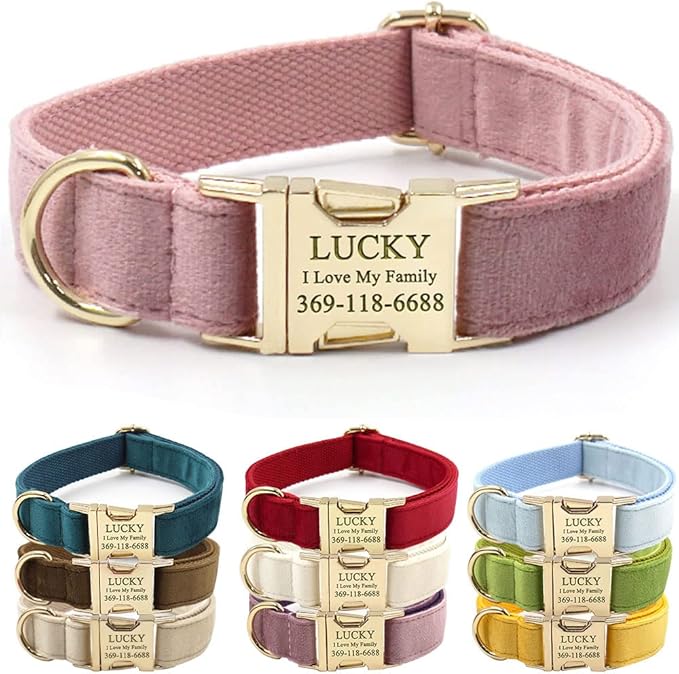 PETDURO Custom Dog Collar Personalized with Name Engraved Gold Metal Buckle for Large Medium Small Girl Dogs - Dog Leash and Bow Tie Available - Soft Comfy Velvet (Champagne Pink, L)