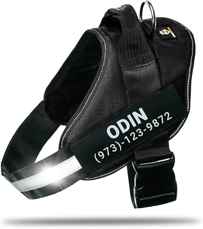 Personalized No-Pull Dog Harness with Name Patch, Adjustable, Reflective, Padded, Heavy Duty Pet Vest to Prevent Tugging, Pulling, or Choking, Training and Walking, Black, XL