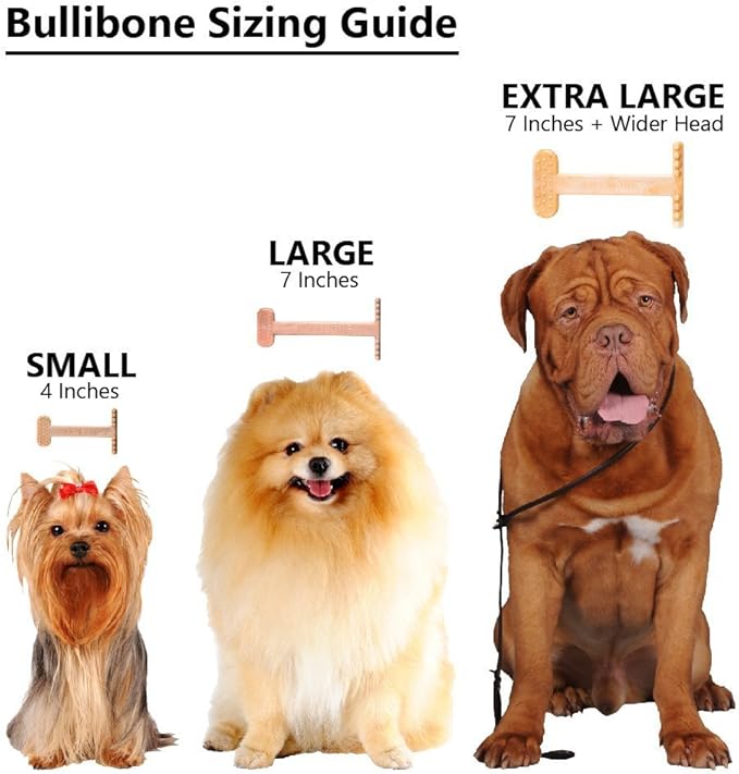 Bullibone Nylon Dog Chew Toy for Aggressive Chewers - Dental Hygiene Bone with Beef Flavor, Durable Tough Chew Toys for Large Dogs, Indestructible Dog Bone - 3 Pack