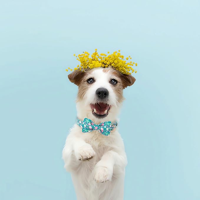 Lionet Paws Easter Green Dog Collar,Eggs Dog Collar for Large Dogs, Adjustable Cotton Flower Pet Collars for Medium Large Dogs