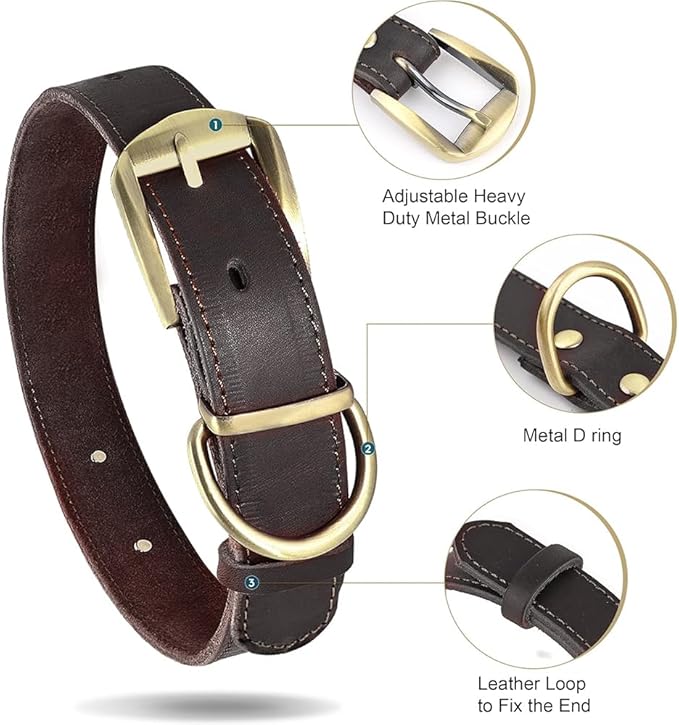 Didog Genuine Leather Dog Collars with Engraved Nameplate, Personalized Soft Leather Dog Collar with Custom ID Tag, Brown/Green/Red for Small Dogs (M,Brown)