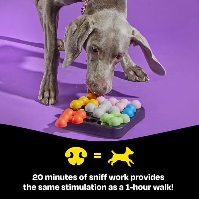 Brightkins Kanoodle Dog Edition Small - Interactive Puzzle Toys, Enrichment Slow Feeder, Training Tool for Puppies