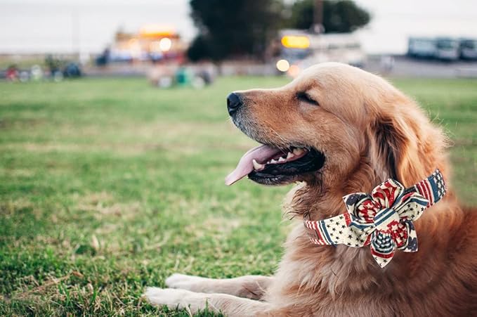 Elegant little tail US Flag Dog Collar, Cute Detachable Dog Collar with Flower, Gift Pet Collar Adjustable Dog Collar for Large Dogs