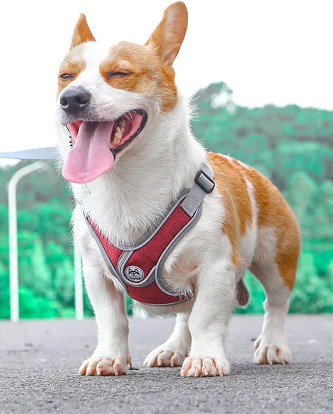 Medium Dog Harness and Leash Set,No Pull Adjustable Step in Soft Mesh Vest Harness,Easy Walk Reflective Pet Harness with Padded Handle for Walking Training Small Medium Large Dogs and Cats (Red, M)