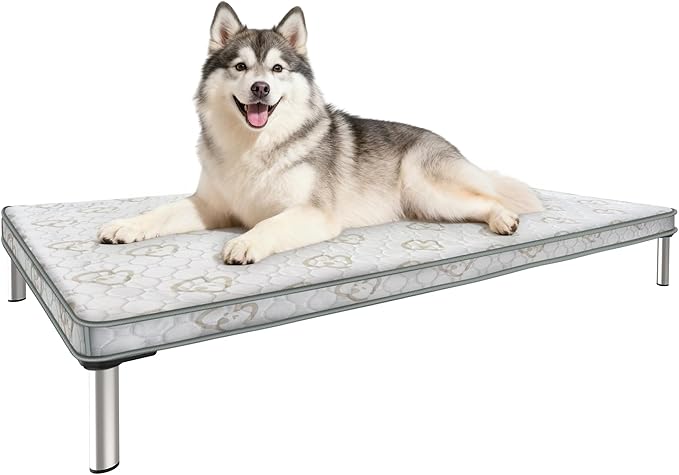 FXW TitanNest Chew-Proof Elevated Dog Bed, Raised Cot for Indoor/Outdoor/Camping Use, Durable & Washable Padded Pet Bed with Exclusive Cover for Medium Dogs, 41.0" L x 27.0" W x 5.0" H, Black