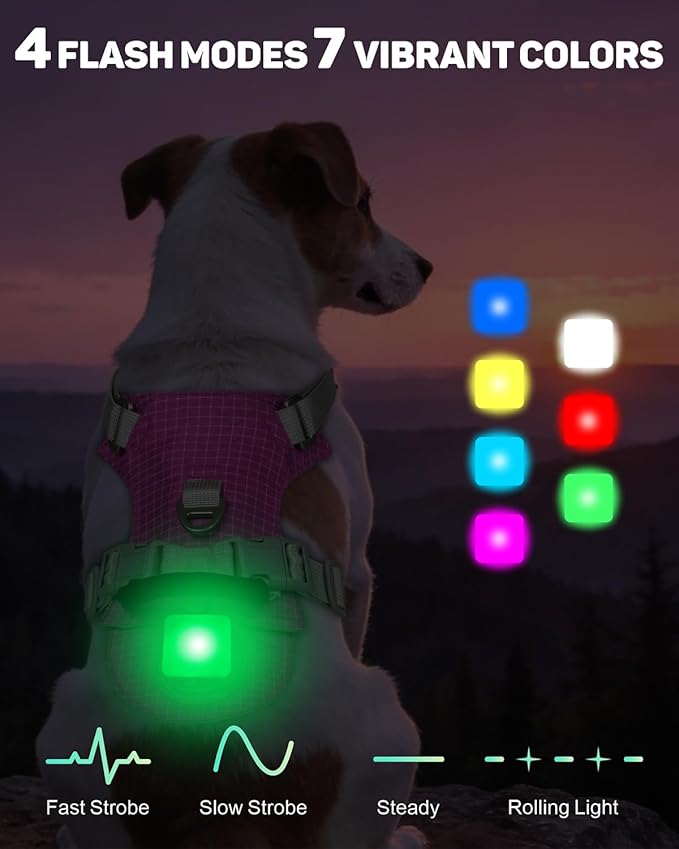 TagME No Pull Dog Harness with 2 Leash Clips,Lightweight & Visible for All-Day Walking,No Choke Pet Vest Includes AirTag Holder for Small Dogs,Fuchsia Pink