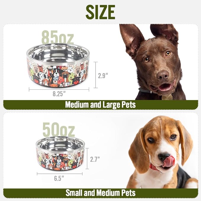 Selly's Den Pawdience Double Walled Stainless Steel Bowl, Non-Slip, Food & Water Dish (62 Oz, 7.75 Cups)