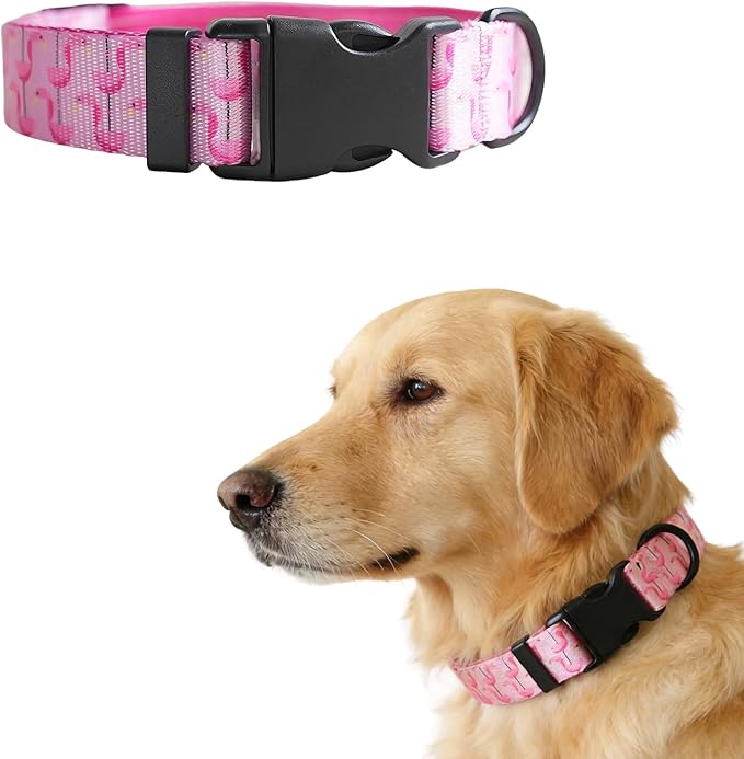 Dog Collars for Medium Dogs - Safety Buckle Durable Light-Weight, Girl Dogs Collar for Medium Dog Collar Pink Cute Patterns Soft Adjustable (Pink Bird, M)