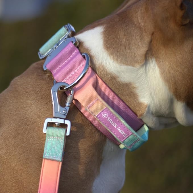 Tactical Dog Collar with Handle - Premium Quality Collar, Robust and Durable Design for Large, Strong Breeds - Pitbulls, Labradors, GSD - Pastel Icing - S - 1.5"
