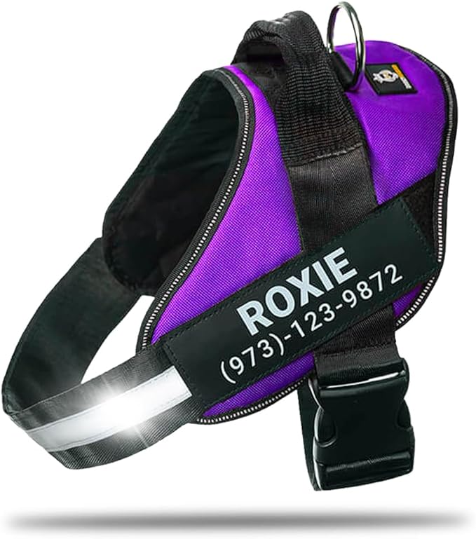 Personalized No-Pull Dog Harness with Name Patch, Adjustable, Reflective, Padded, Heavy Duty Pet Vest to Prevent Tugging, Pulling, or Choking, Training and Walking, Purple, XL