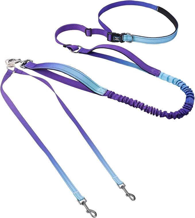 Roses&Poetry Hands Free Double Dog Leash for Two Dogs, 9-11ft Adjustable Bungee Walking Waist Lead, Dual Dog Leash with Tangle-Free Swivel for Medium Large Dogs Heavy Duty Running(Violet)