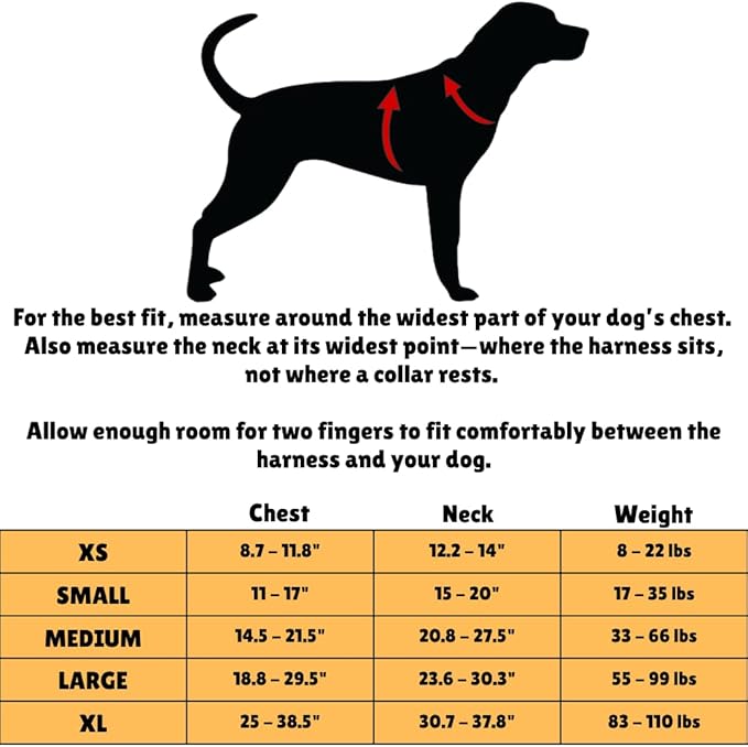 Clickette™ Magnetic Locking Harness and Leash (Orange, Extra Small)
