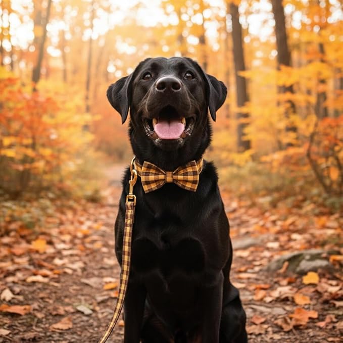 PETDURO Personalized Checkered Plaid Dog Collar Brown Yellow - Engraved Name and Phone Number on Gold Metal Buckle - Custom for Small Medium Large Boy Girl Dogs - Add Leash Bow Tie via Customize Now