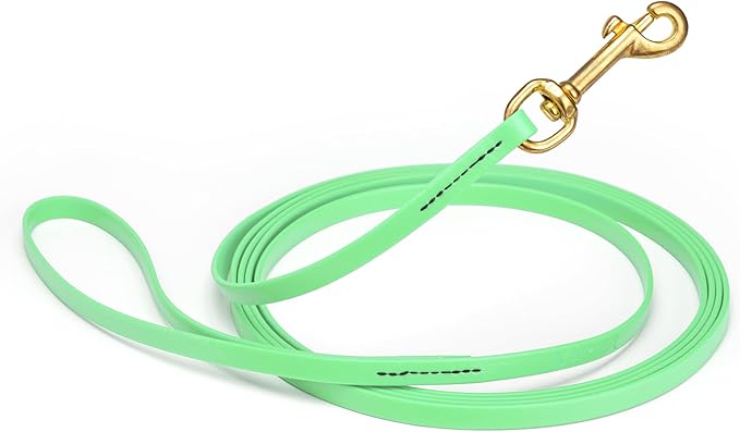 Viper Biothane K9 Working Dog Leash Waterproof Lead for Tracking Training Schutzhund Odor-Proof Long Line with Solid Brass Snap for Puppy Medium and Large Dogs, 10ft Sea Foam Green