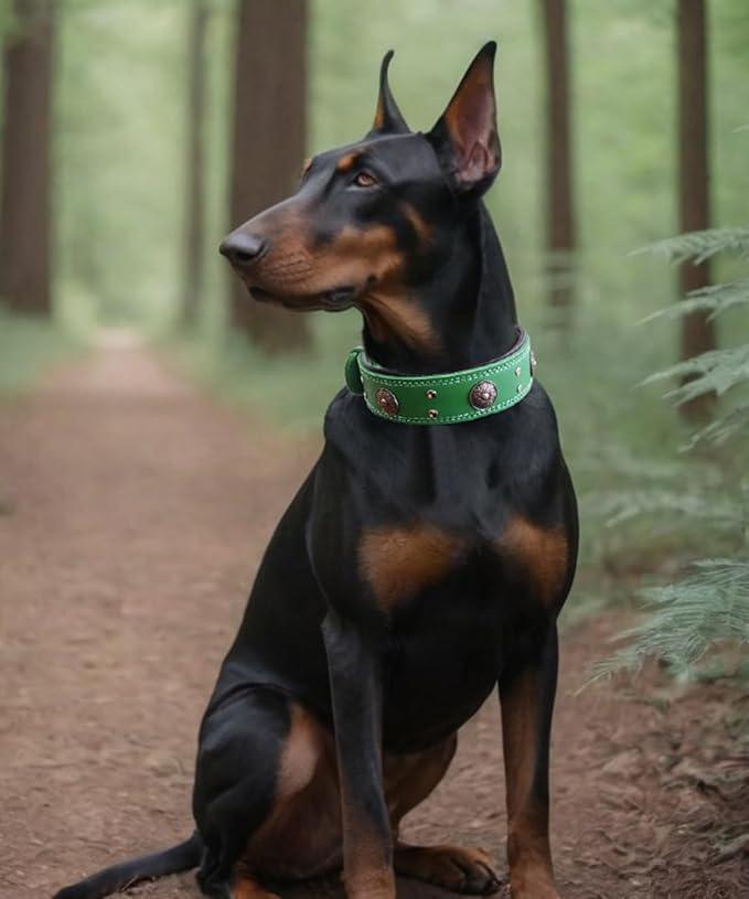 Leather Dog Collar, 2 inches Wide Heavy Duty Genuine Leather Collars, Handmade, Soft, and Luxury, Eye-catching Best Choice for Large and Medium Breed Dogs, Green 21-25 inches