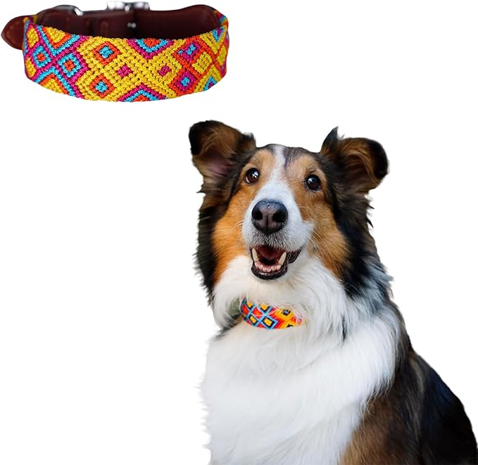 Eternia Premium Leather Dog Collar - Adjustable Handcrafted Collar for Small to Large Dogs (Yellow/Red, M)