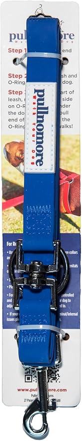No-Pull Dog Leash, Chew Resistant, Waterproof, Durable PVC Material, Multiple Colors and Sizes (Blue, Small)