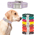 dogIDs Personalized Dog Collar – ScruffTag Custom Waterproof Biothane Dog Collar with Laser-Engraved Name, Durable & Odor-Resistant – USA Made | Lavender, 5/8 in x 8 in (Fits Neck Sizes 7-9 in)