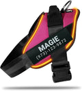 Personalized No Pull 360° LED Dog Harness with Custom Name Patches, USB Rechargeable, Adjustable, Reflective for Night Walks, Rainproof Module with 3 Modes Lasts up to 24h, Rose Red, XS
